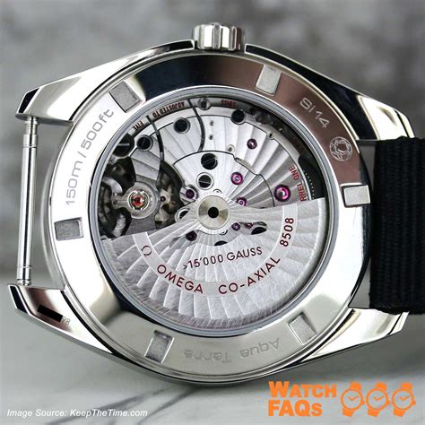 exhibition caseback